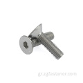 Ανοξείδωτο χάλυβα SUS304 Hex Socket Flat Head Screw